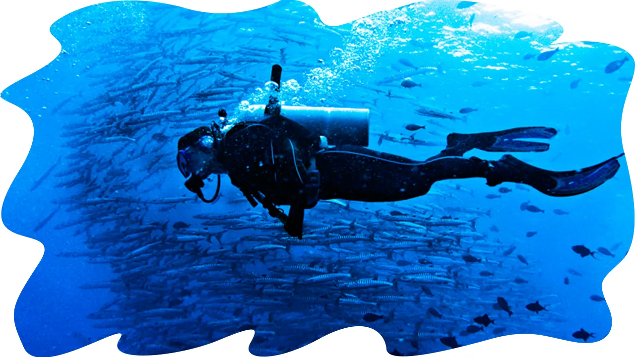 Diver in blue water