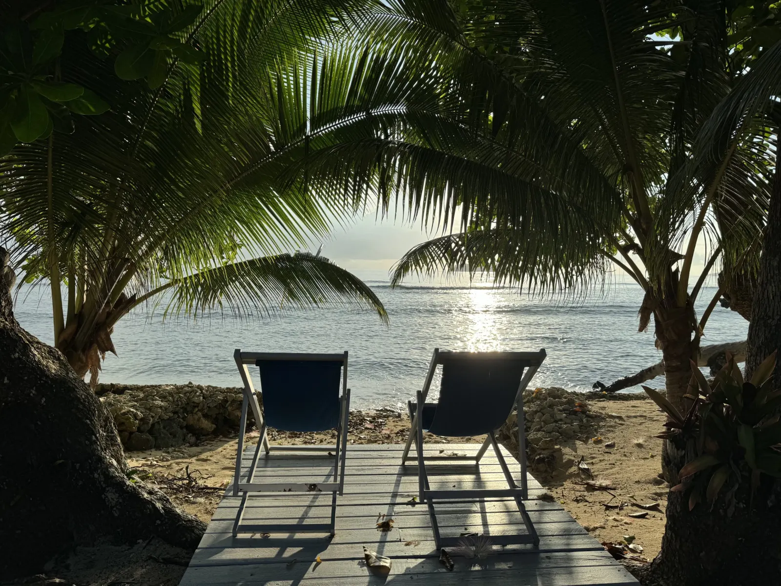 Sunloungers under the palms on the bay