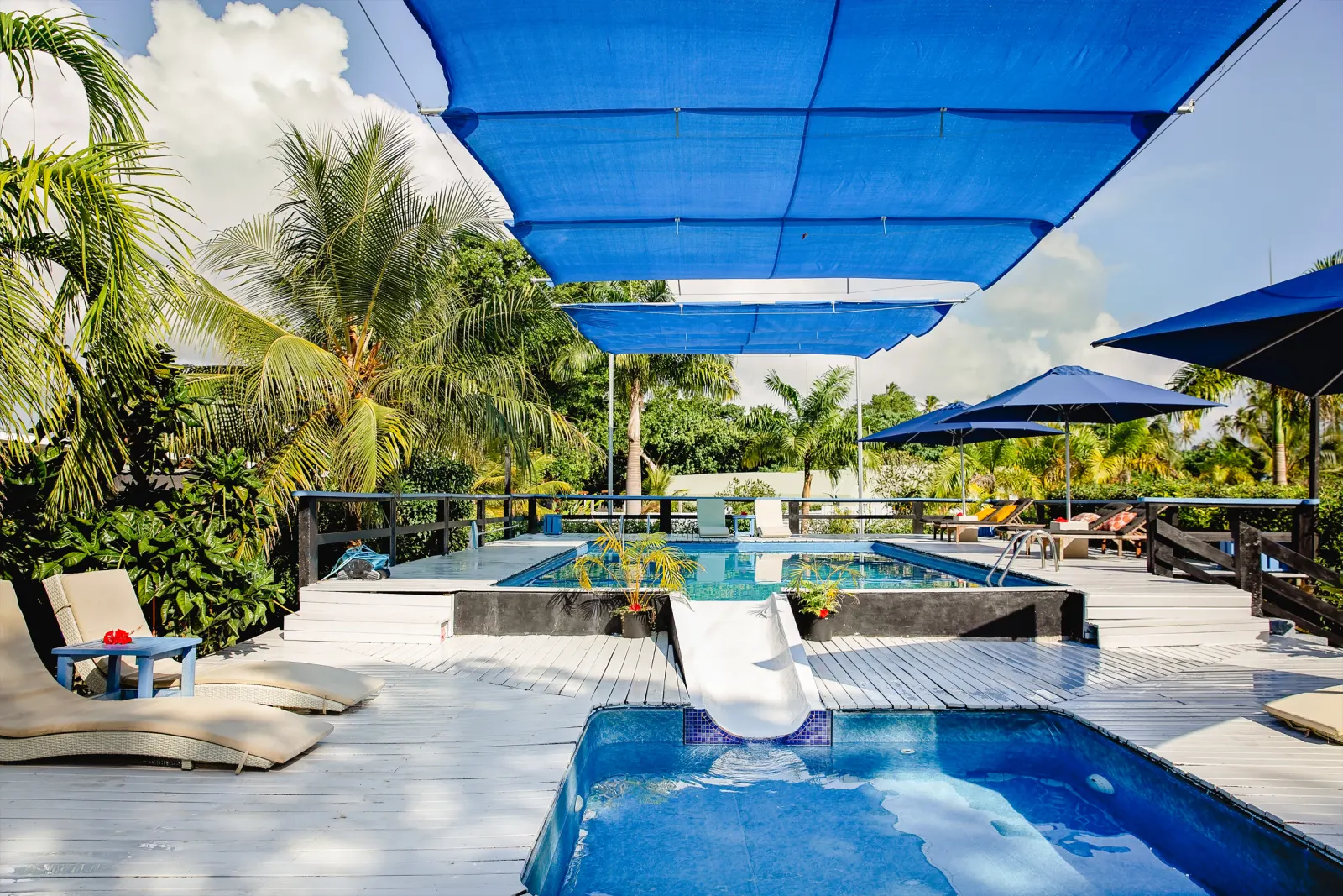 Sunloungers by the pool
