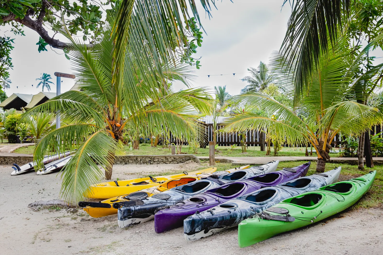 Kayaks on the shore