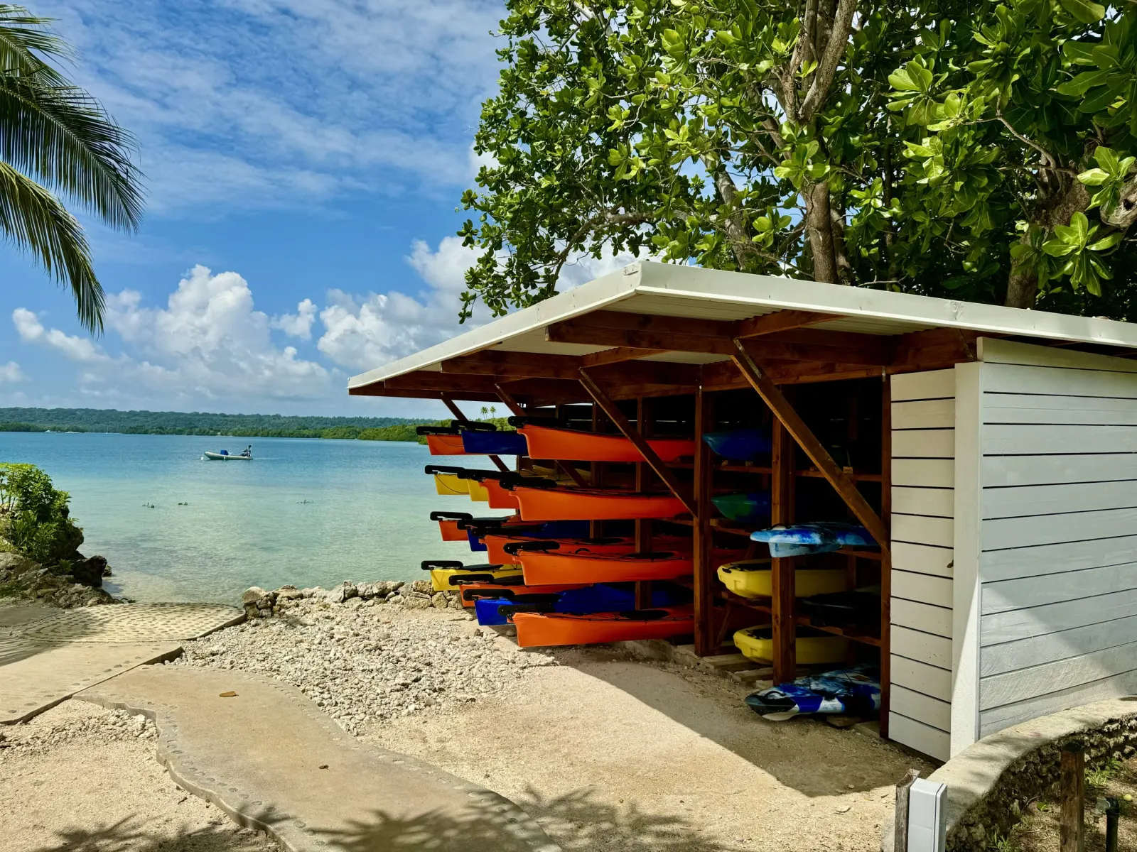 Kayak and paddleboard rack