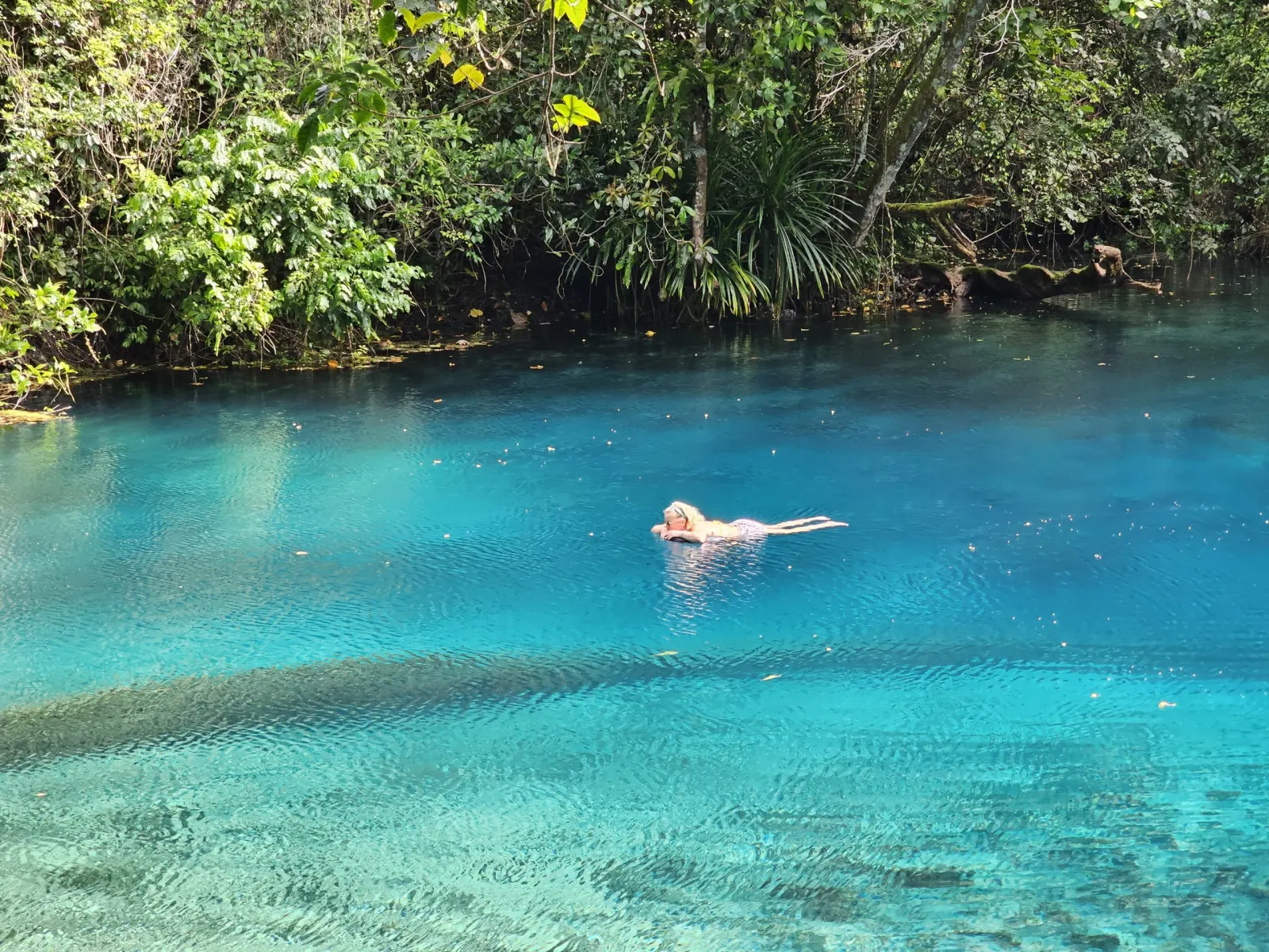 Clear water of a blue hole