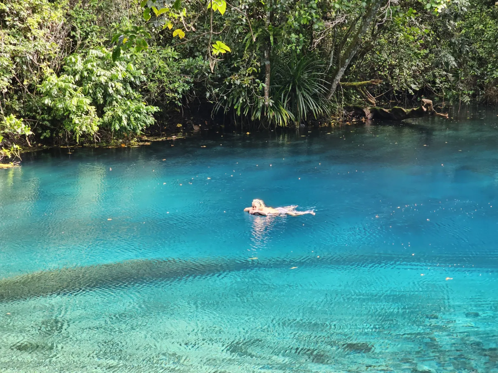 Blue hole in the forest