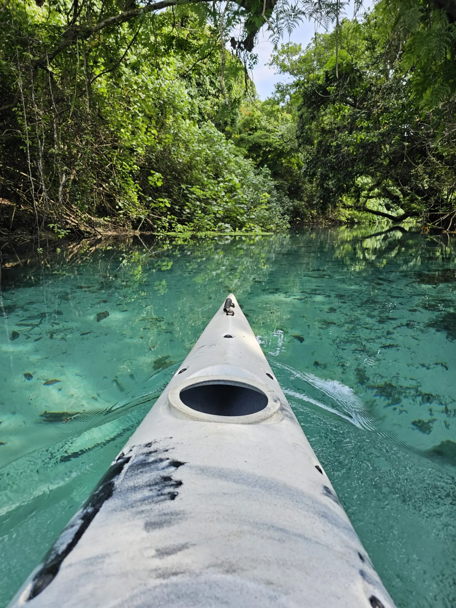 Kayak on the river