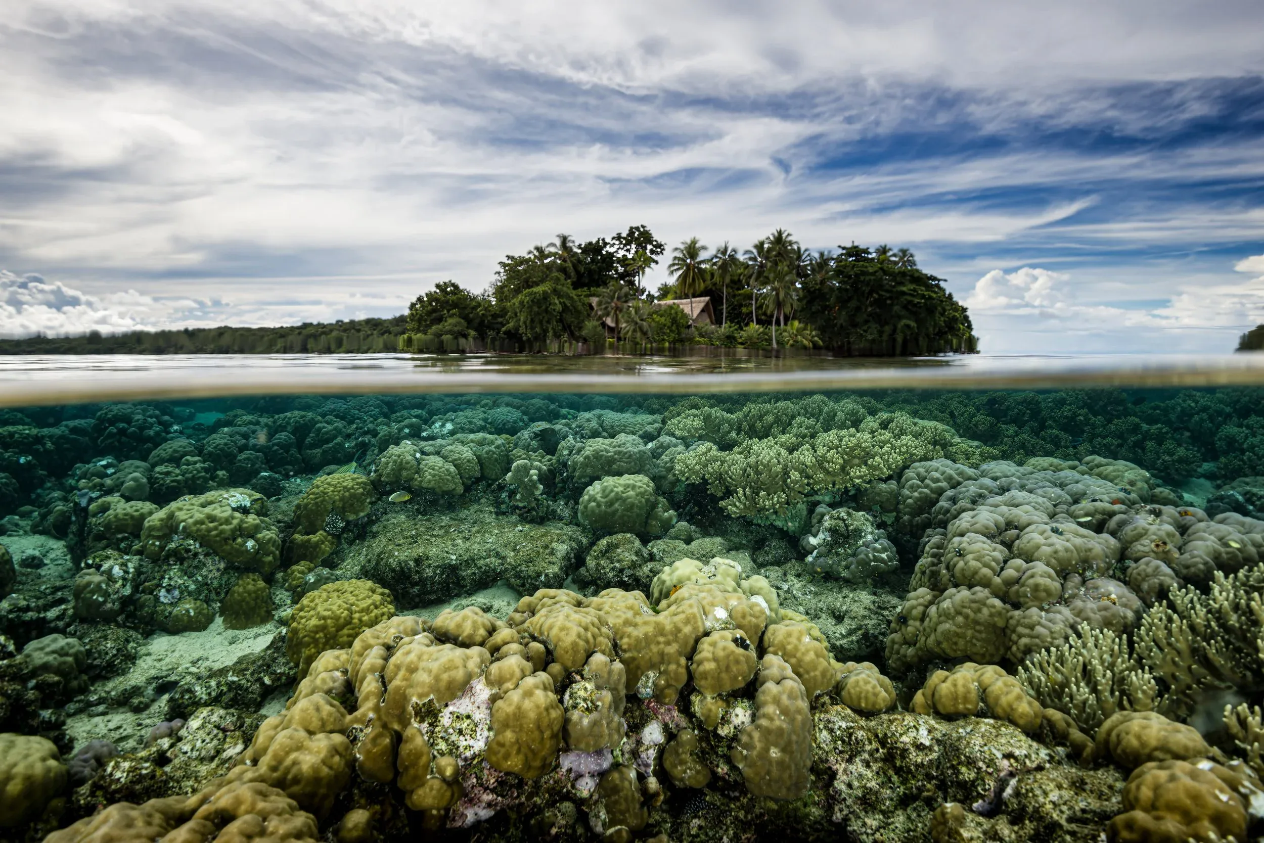 Split shot, half underwater over the reef