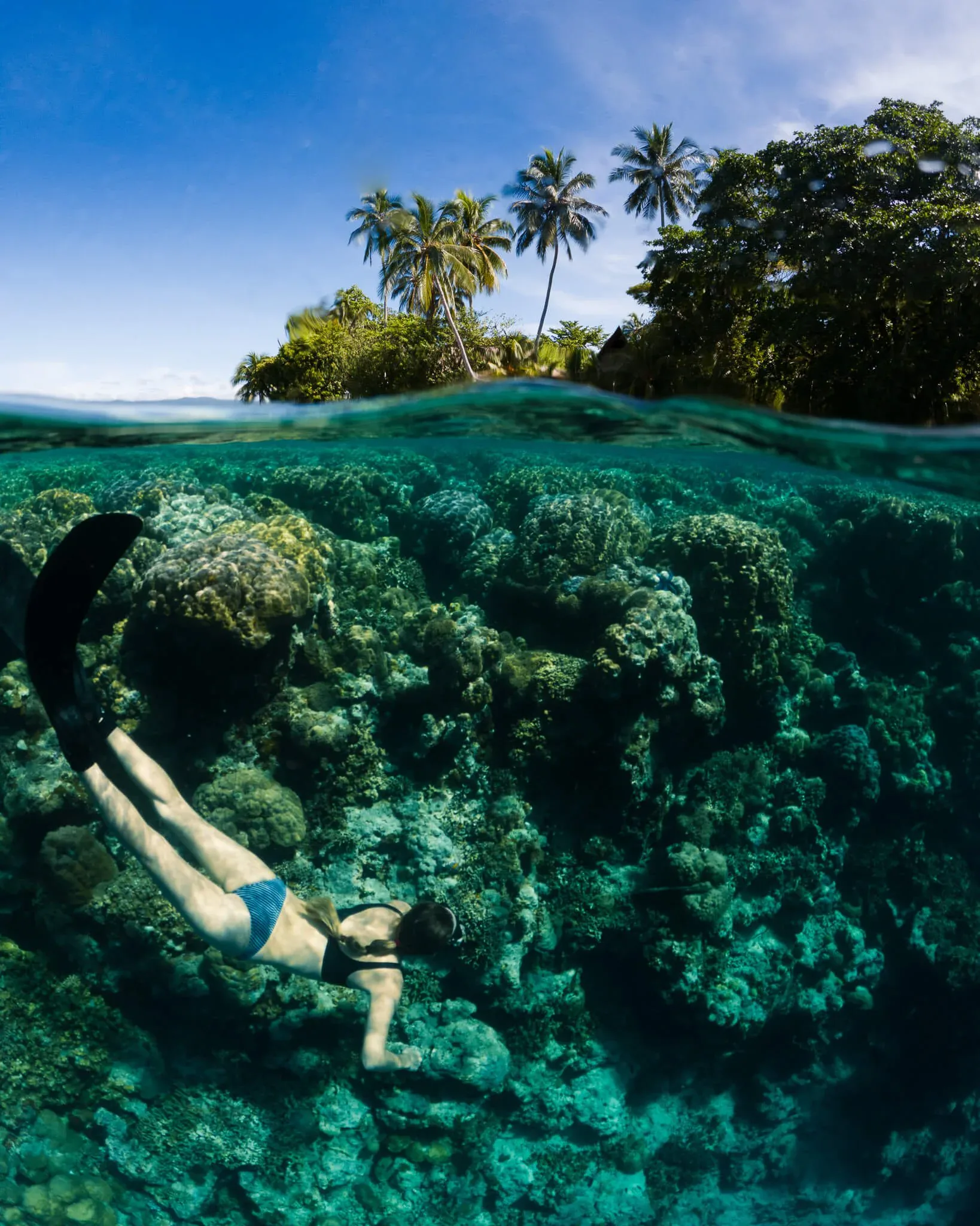 Snorkeller over the reef in a split shot