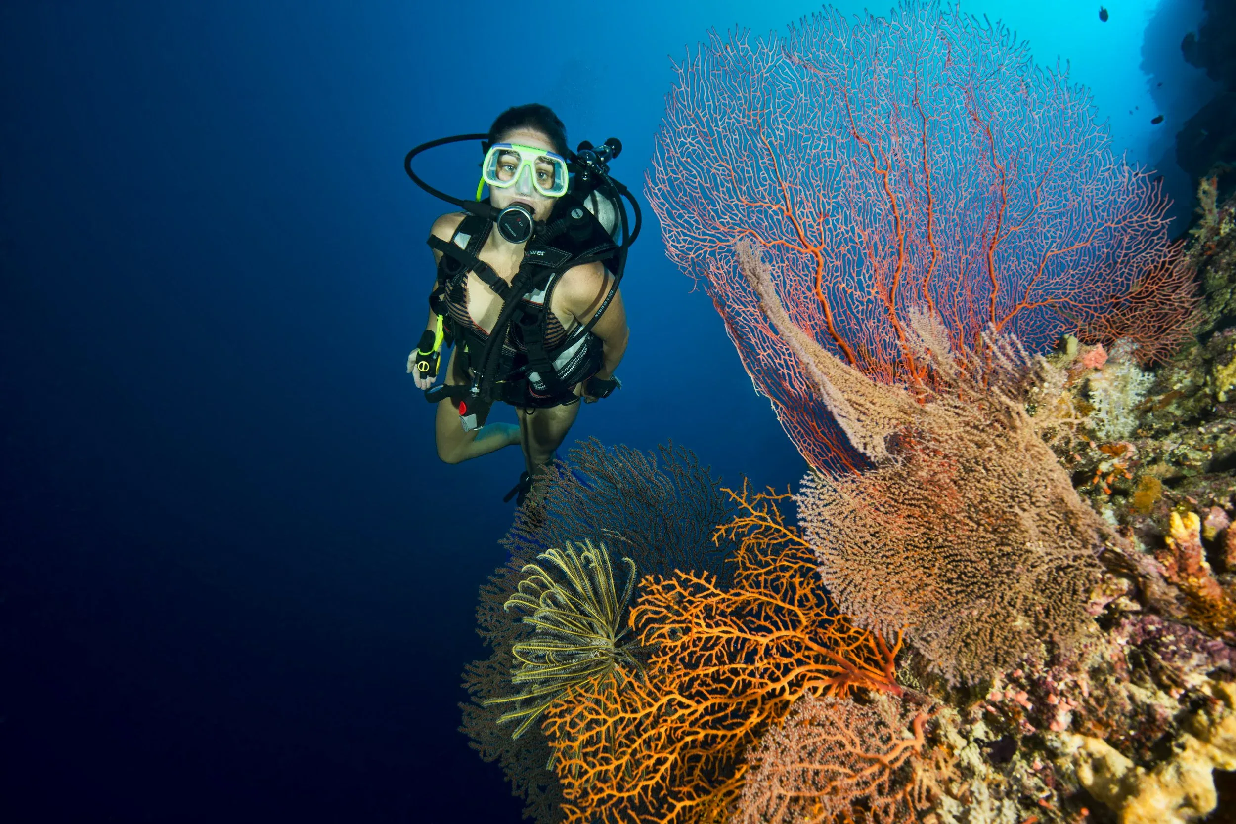 Diver among soft corals at Uepi Elbow