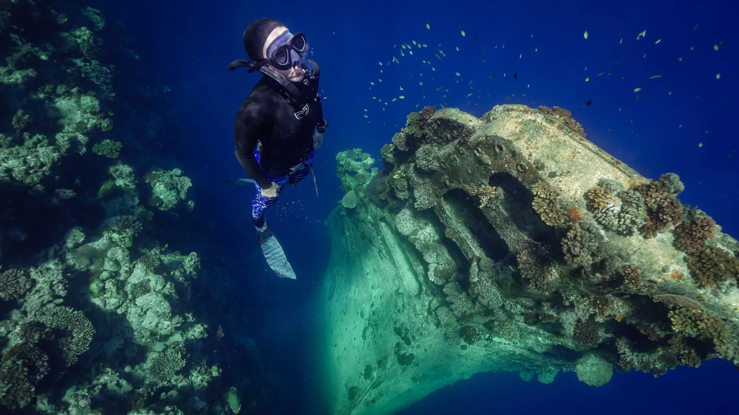 Freediver at the reef wall