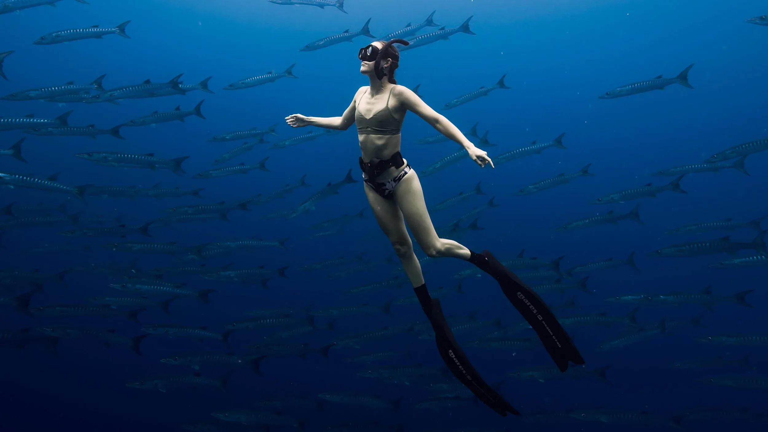 Freediver and a school of barracuda