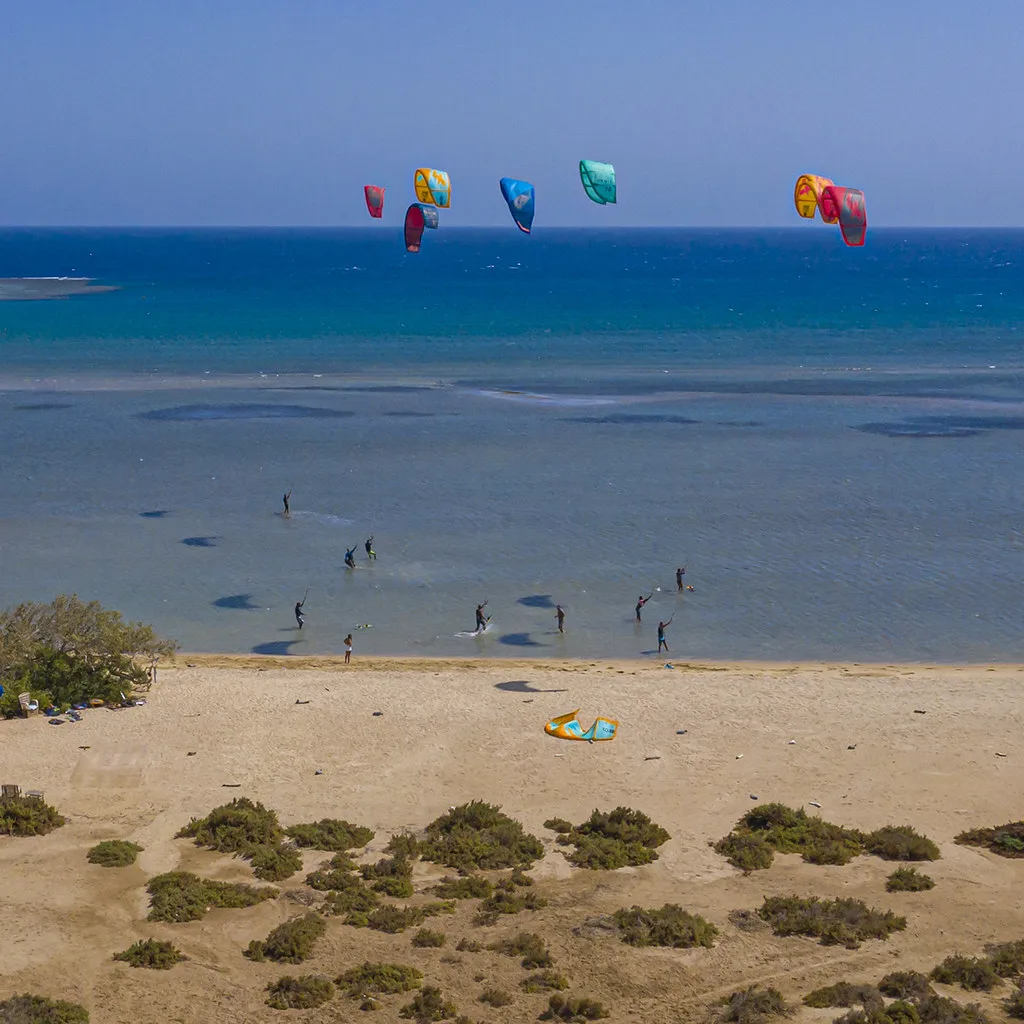 Kites over the shallow lagoon