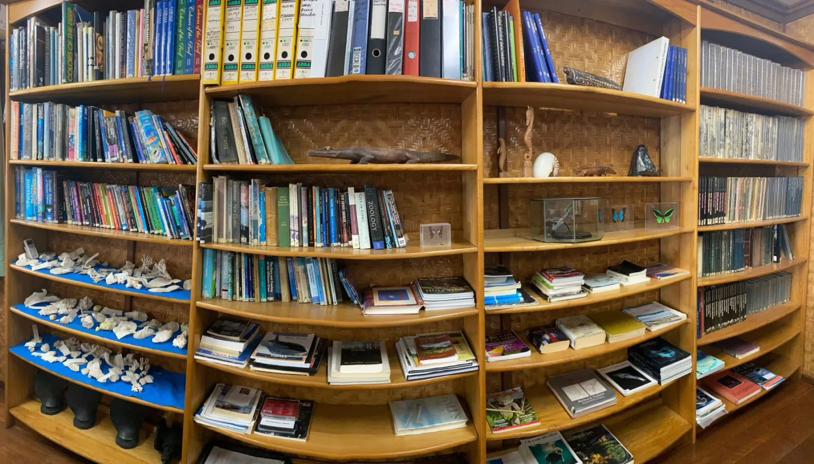 Библиотека курорта с книгами о морской жизни