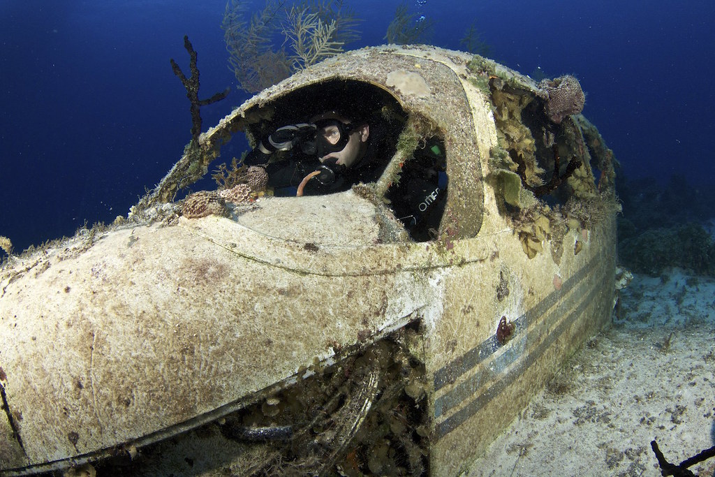 Южные Багамы — дайвинг у удалённых островов архипелага