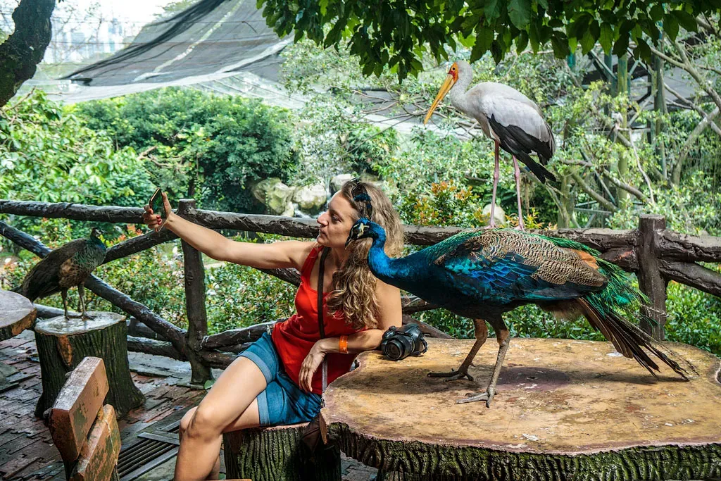 Девушка делает селфи с павлином