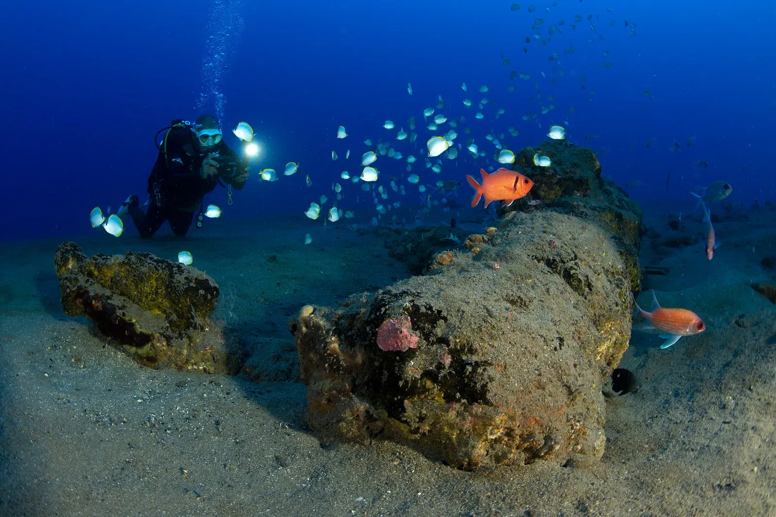 Дайвер с фонарём исследует риф
