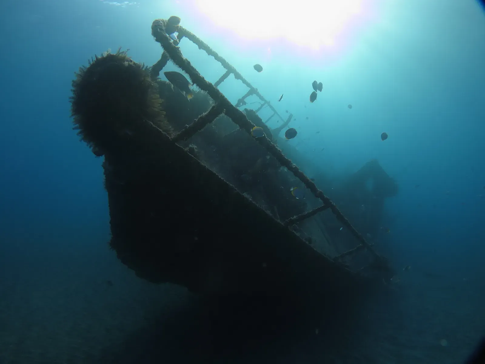 Рэк-дайвинг у острова Святой Елены