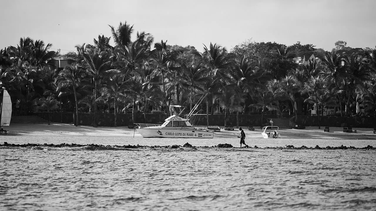 Маврикий — киты и парк Казела