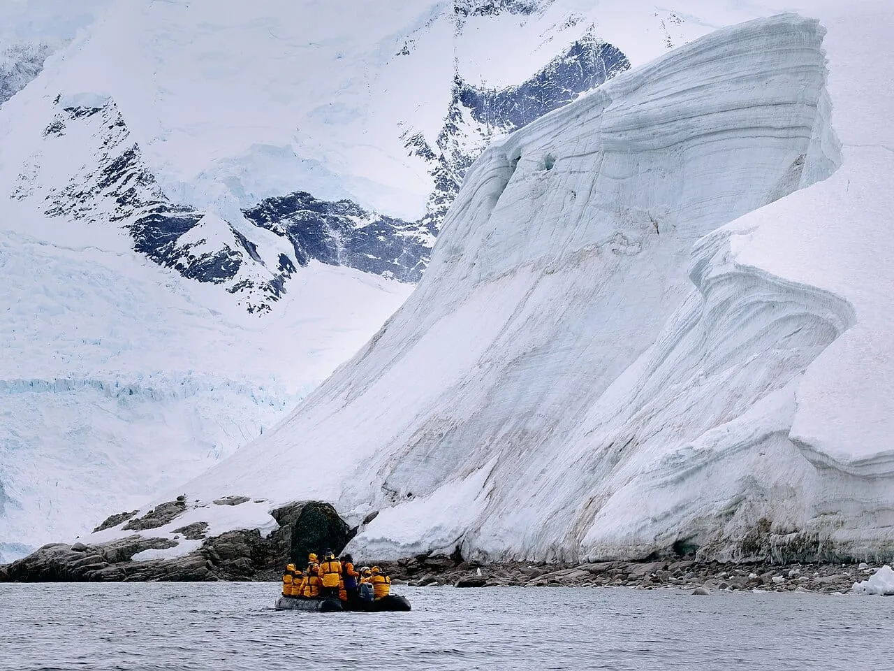 Антарктида — пингвины