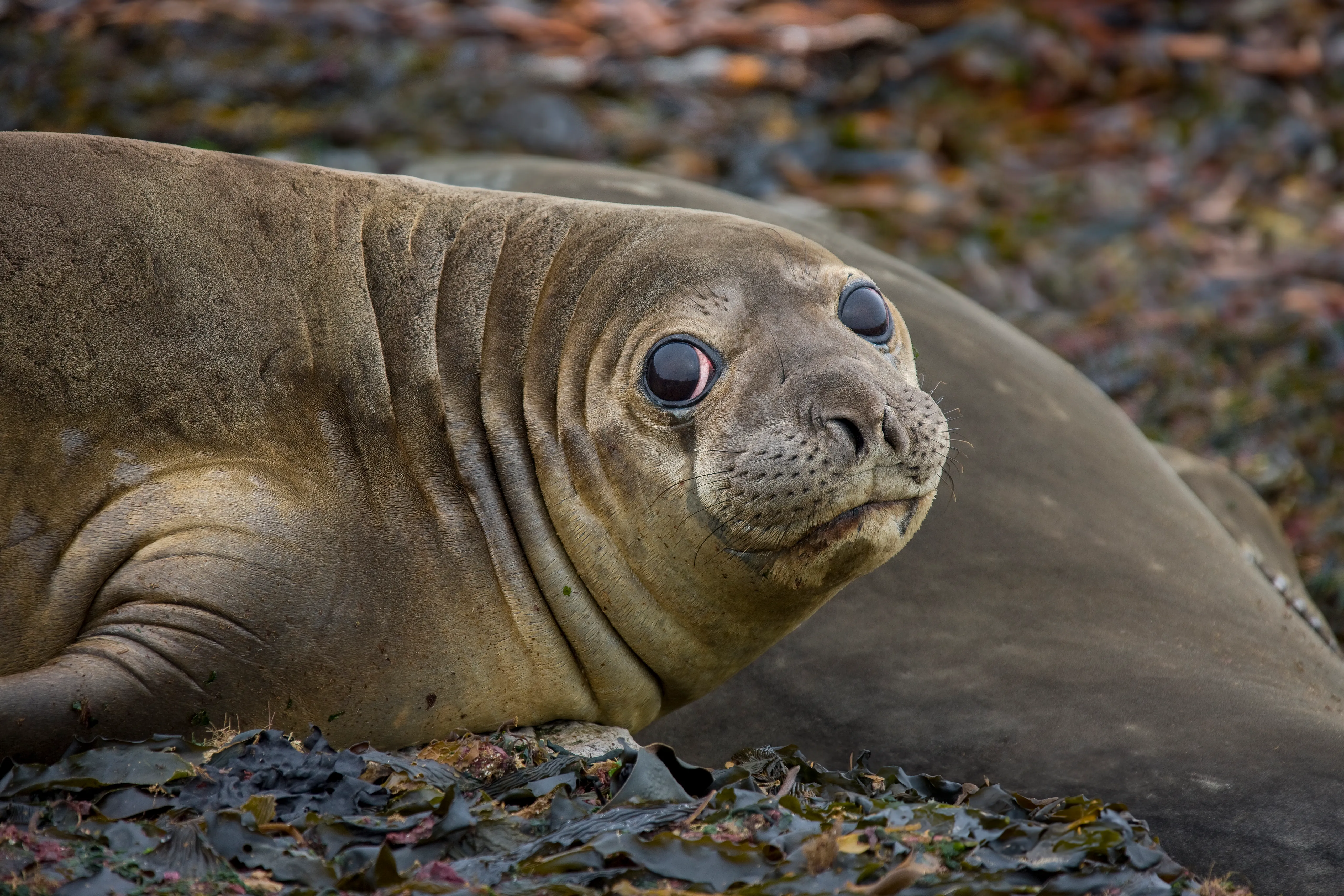 Патагония — закат над горами