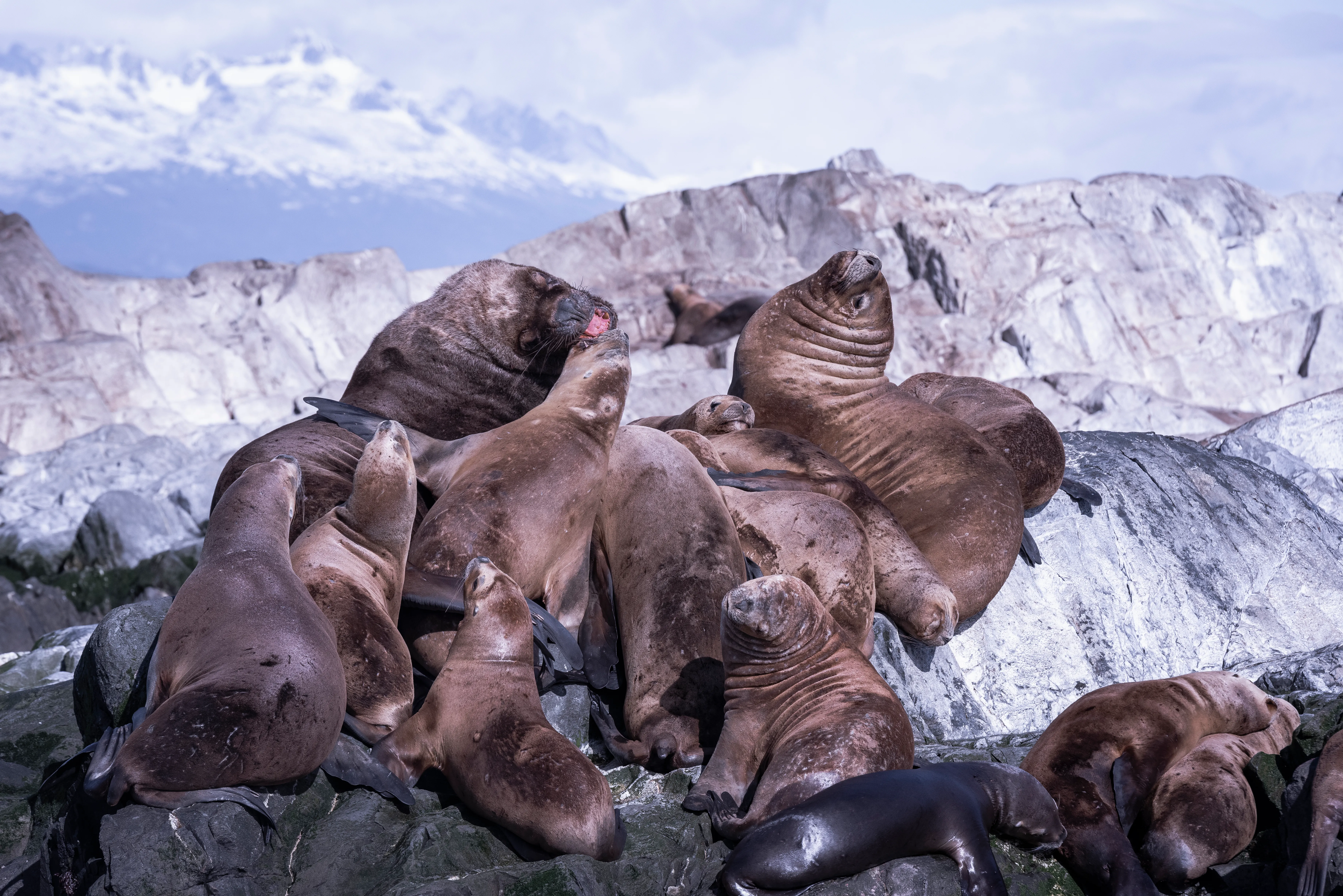 Огненная Земля — край континента