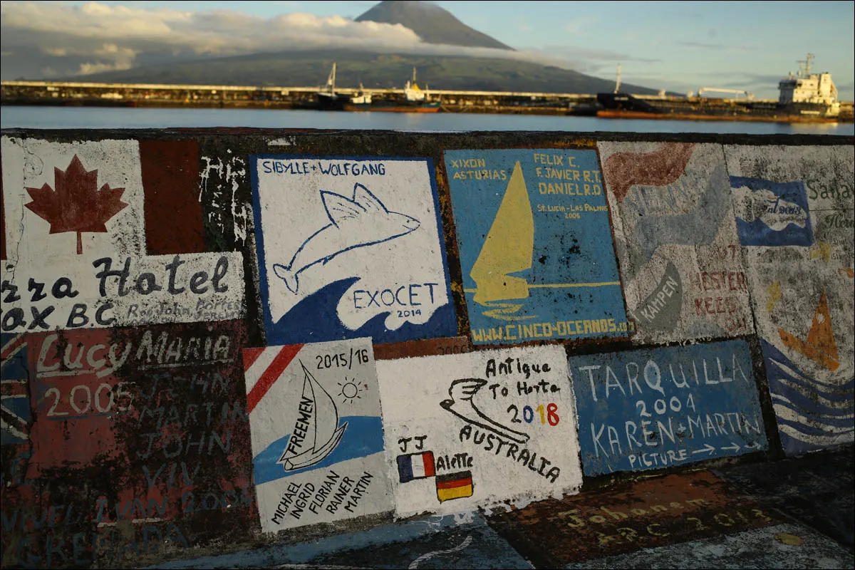 Рисунки яхтсменов крупным планом