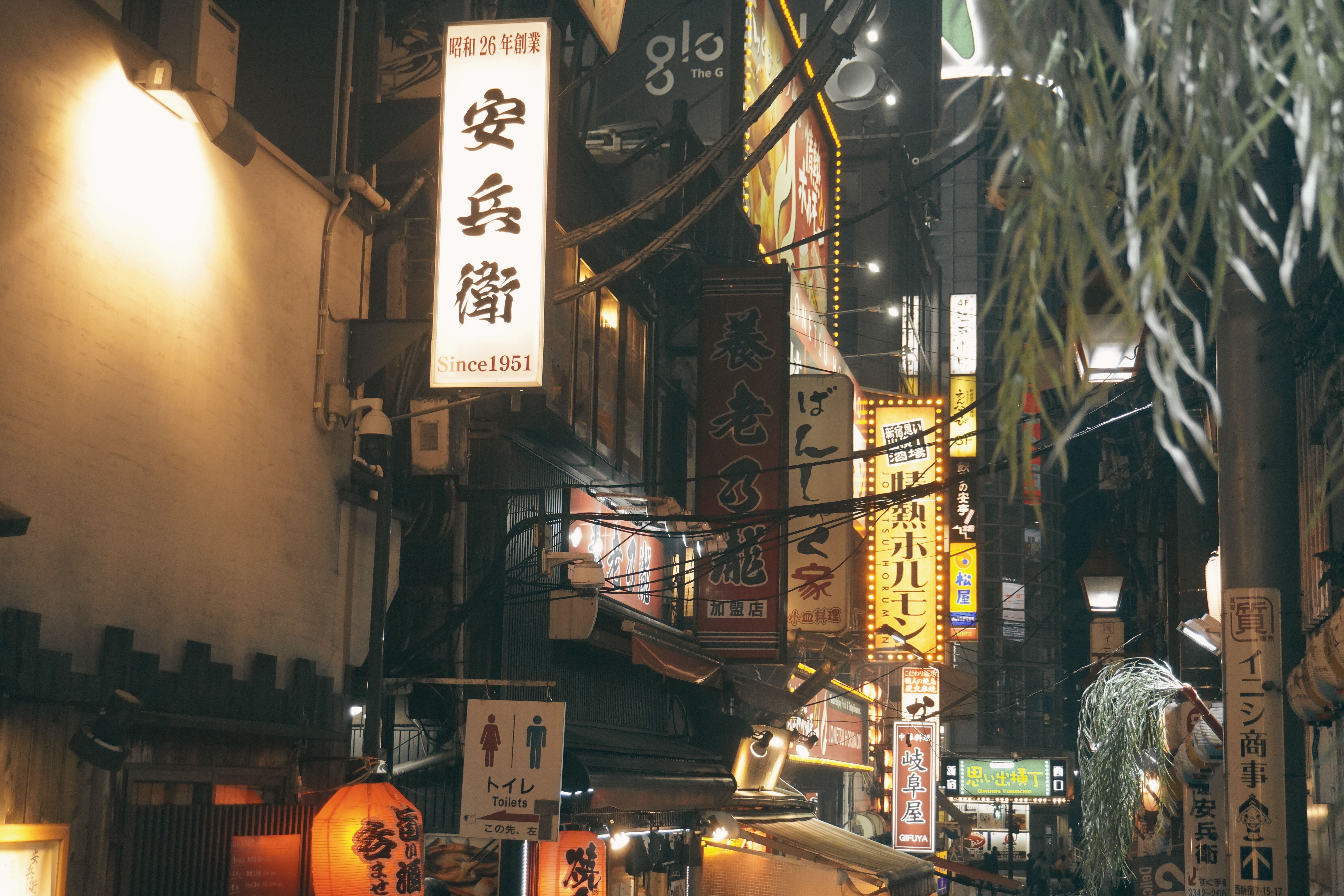Neon-lit Tokyo at night