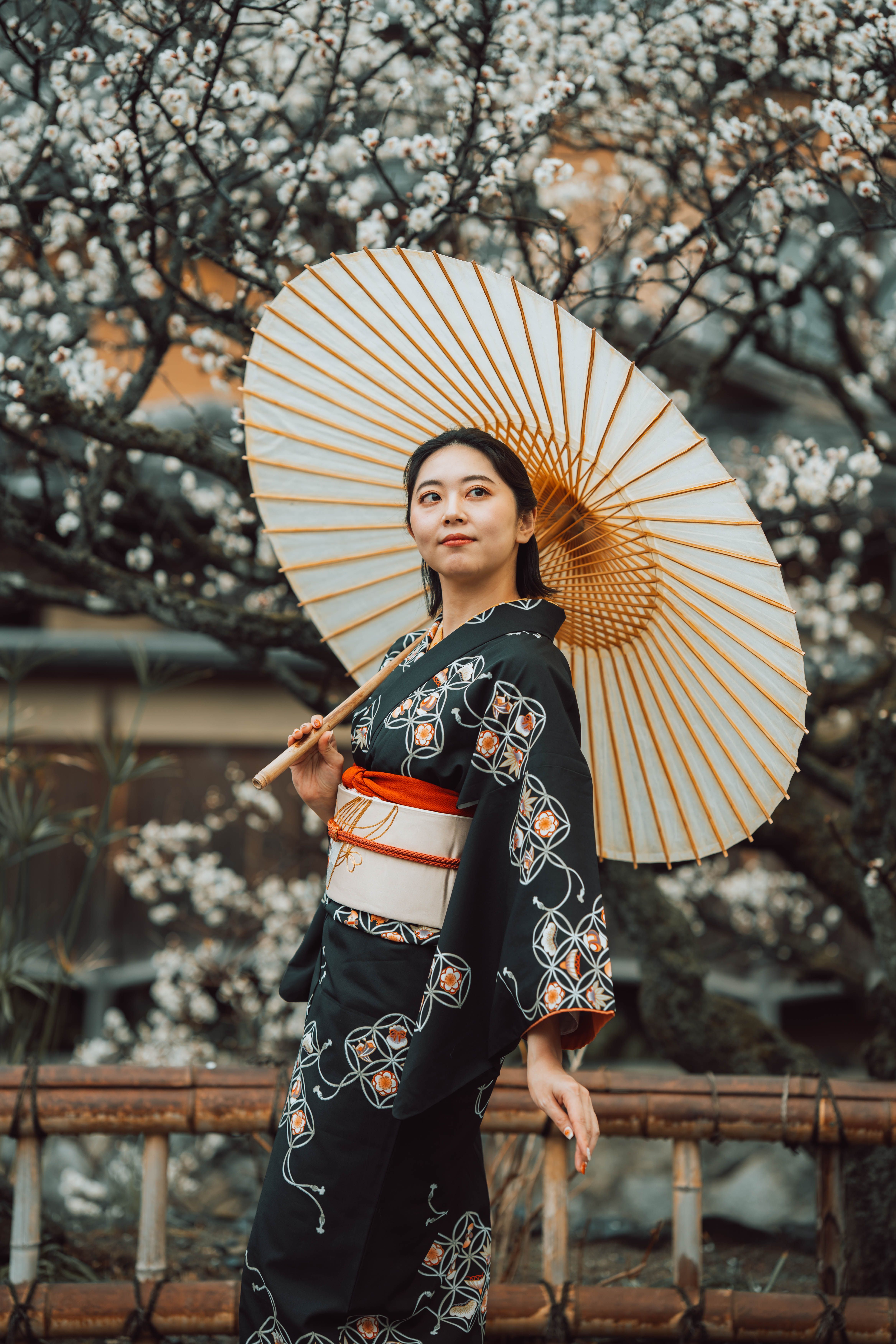 Autumn maples and traditional Japan