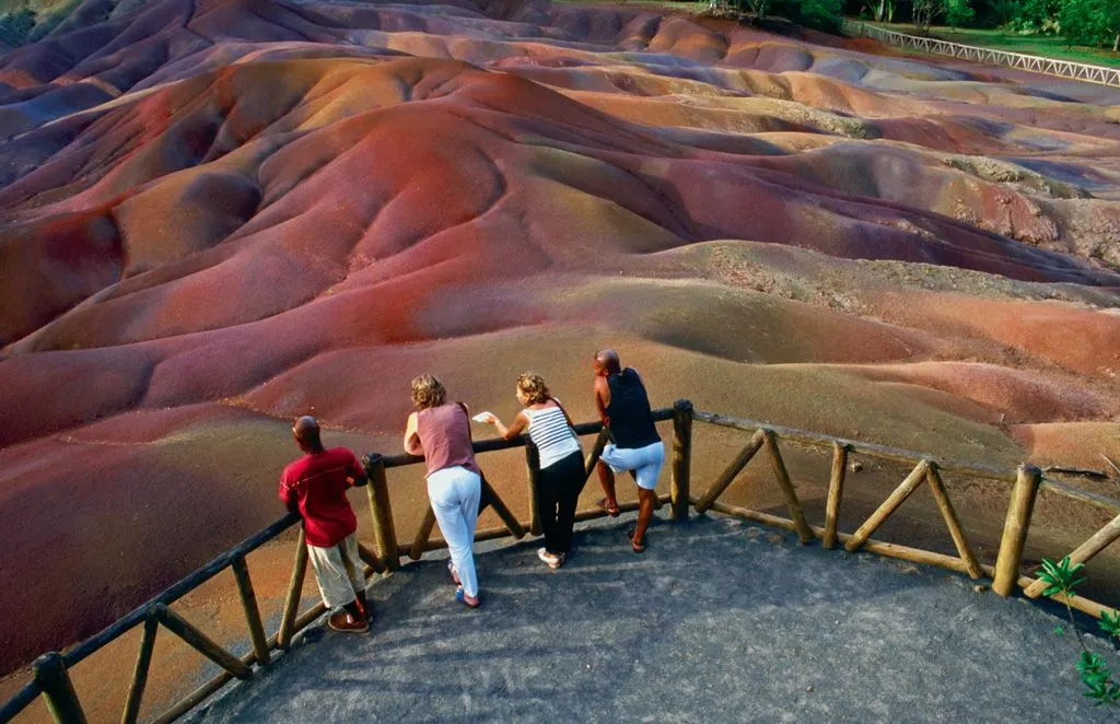 Плавание с кашалотами на Маврикии