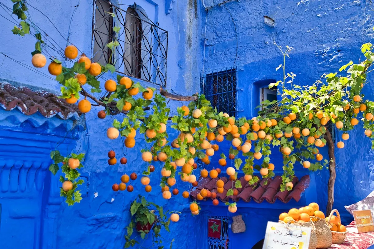 Шефшауэн — голубая улочка с апельсинами