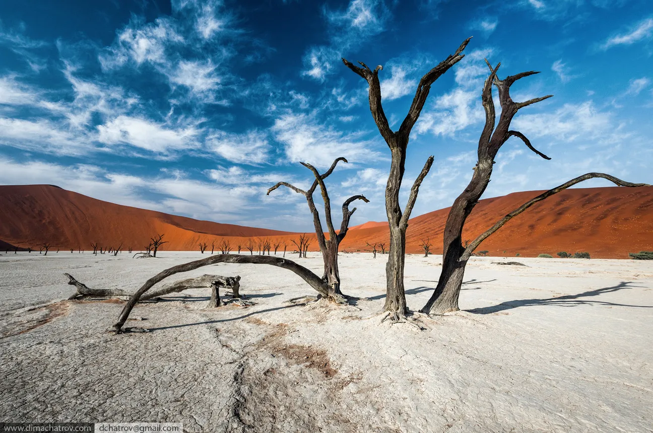 Мёртвые деревья Дедвлея на фоне красных дюн