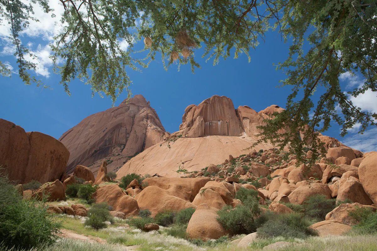 Скалы Шпитцкоппе в обрамлении деревьев