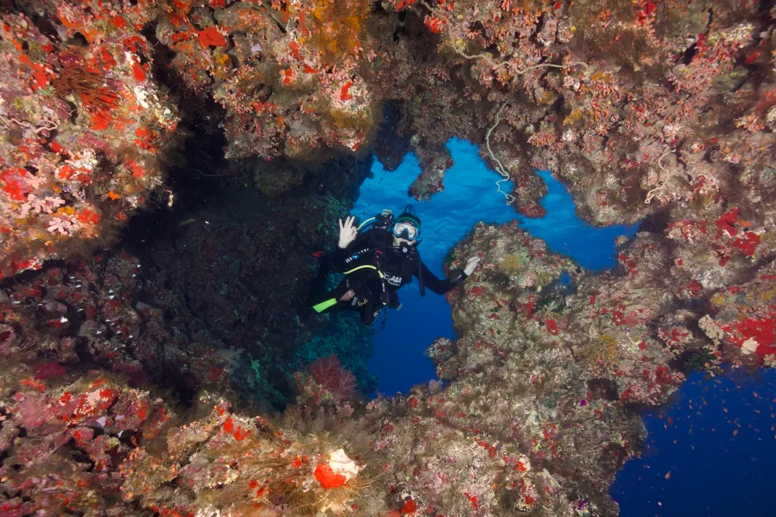 Дайвер у кораллового рифа