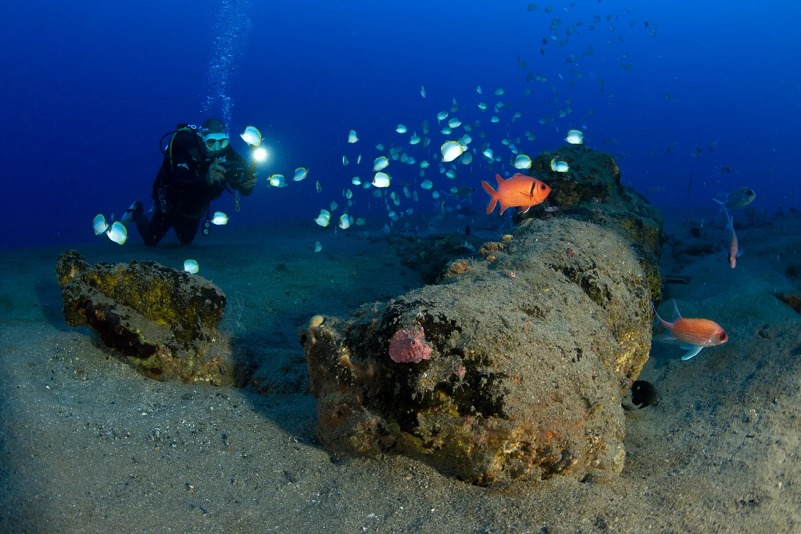 Дайвер с фонарём исследует риф