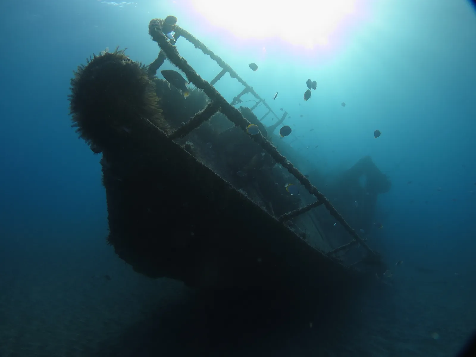 Рэк-дайвинг у острова Святой Елены