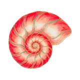 Высокий комфорт